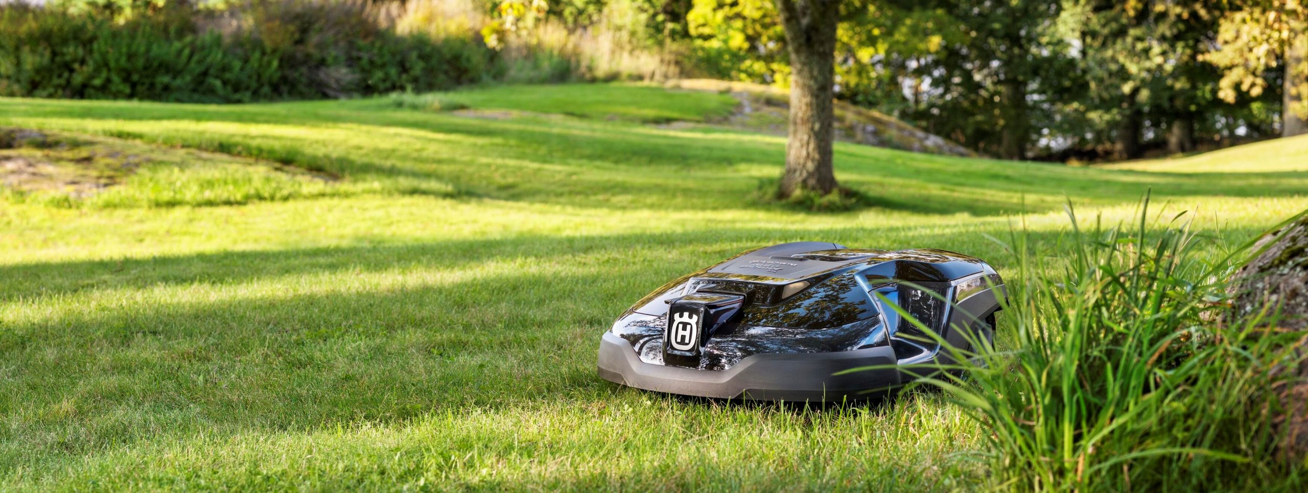 Aanbiedingen Clean Tuin Winkel -Aanbiedingen Clean Tuin Winkel H350 0272 scaled 1